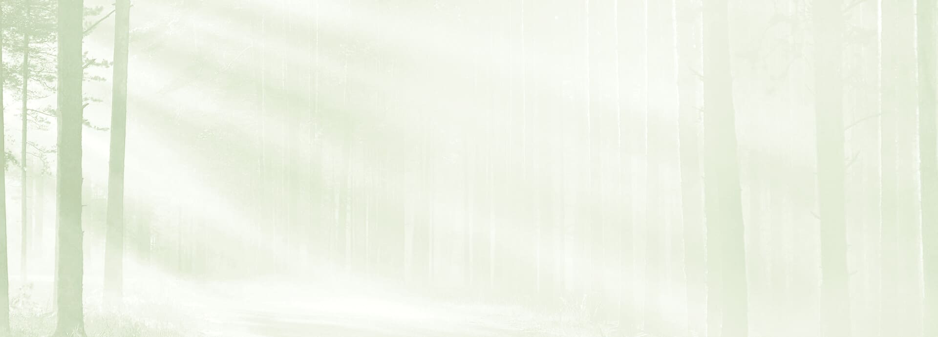 окна из Лиственницы